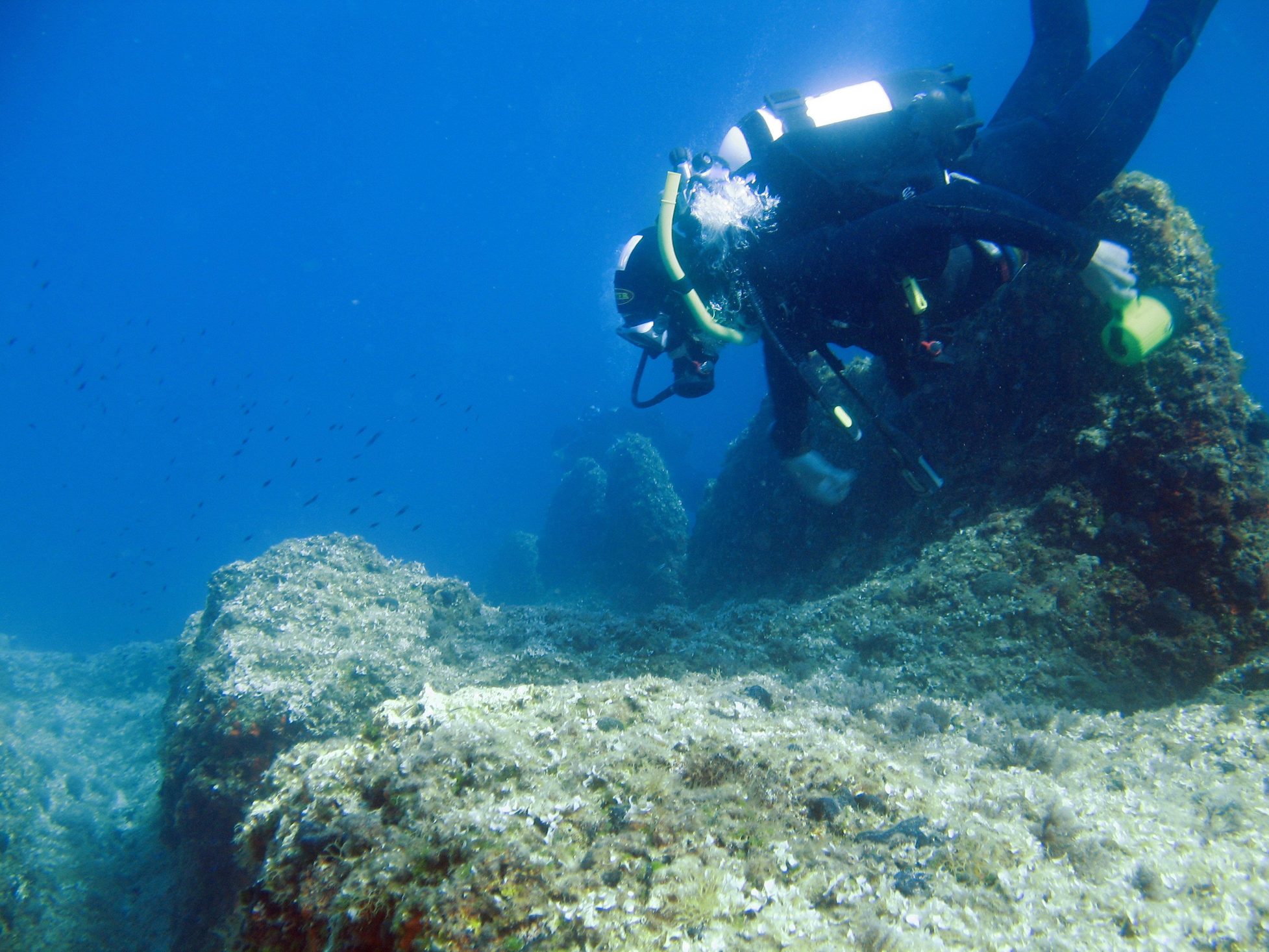 Scuba Diving